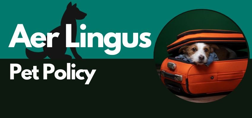 Acceptance Criteria For Pets According to Aer Lingus Pet Policy