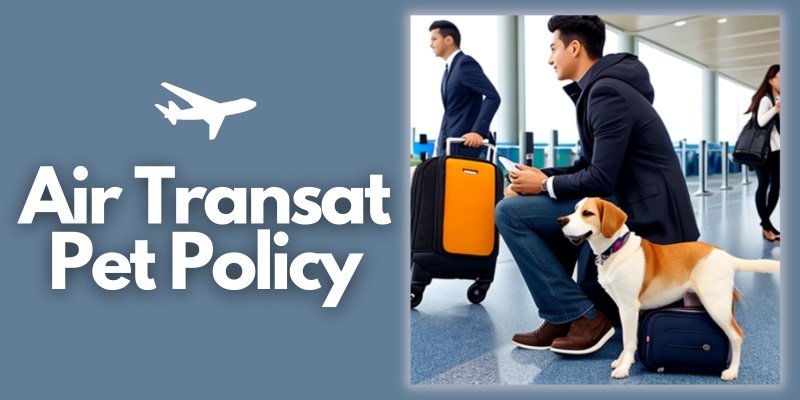 Air Transat Pet Policy